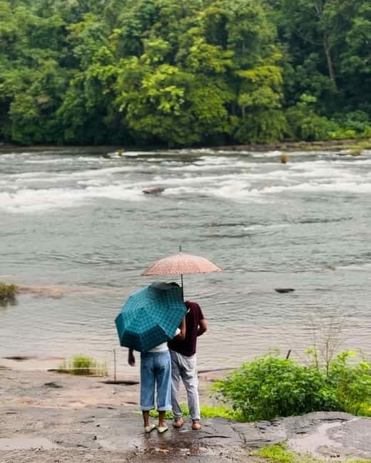 From Kochi: Athirappilly Waterfalls Day Trip with Transfers - What to Expect from the Athirappilly Waterfalls Day Trip