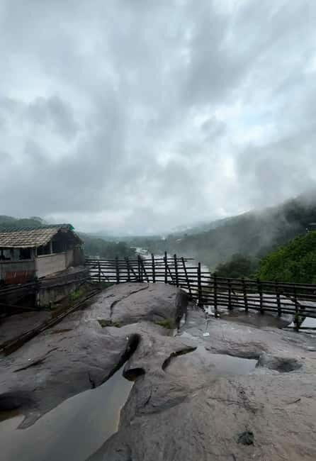 From Kochi: Athirappilly Waterfalls Day Trip with Transfers - Is It Worth the Price?