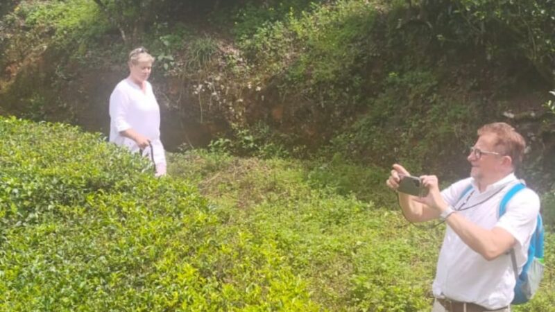 From Kochi: Munnar & Tea Museum Private Guided Tour - Experience Details