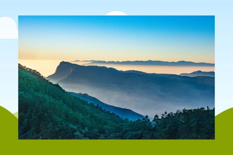 From Kochi: Munnar & Tea Museum Private Guided Tour - Inclusions