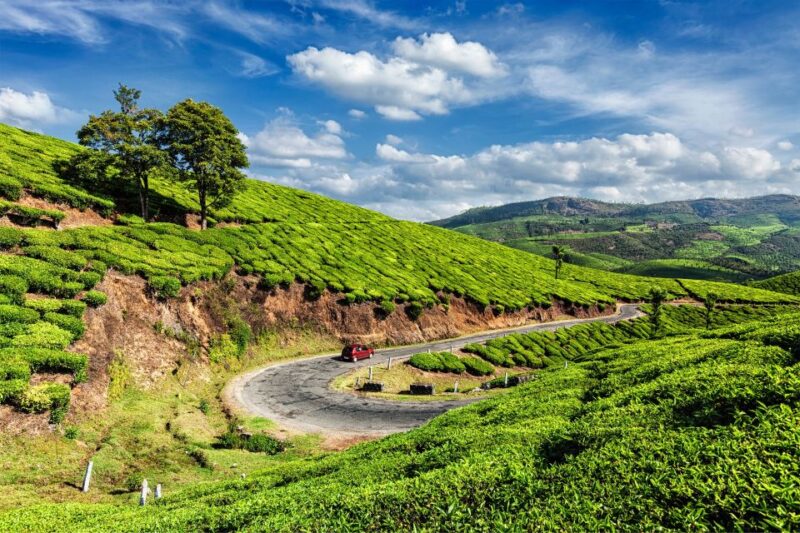 From Kochi: Munnar & Tea Museum Private Guided Tour - Participant Information