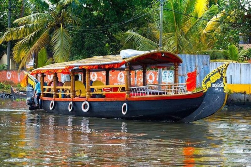 From Kochi Port: Backwater Canoe and Fort Kochi Tour - Itinerary Highlights