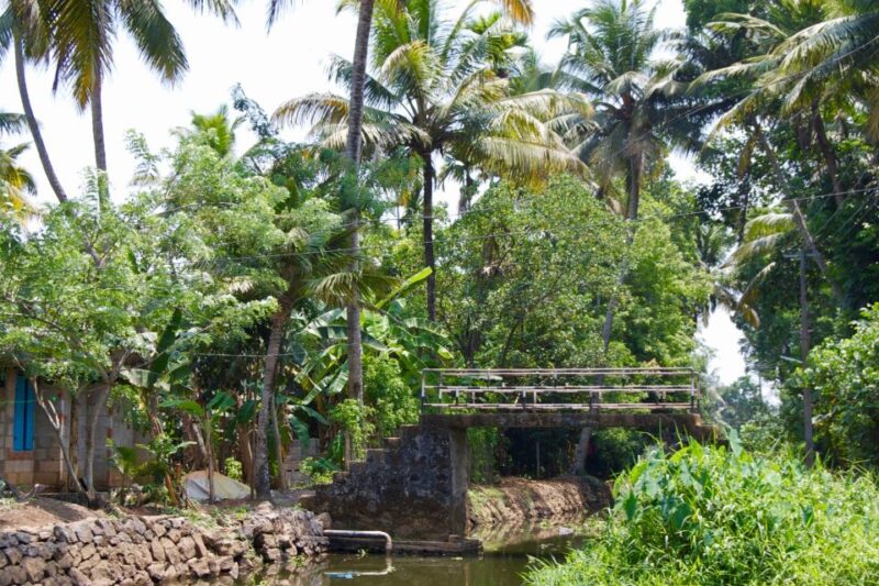From Kochi: Private Backwater Houseboat Cruise Tour - What to Expect