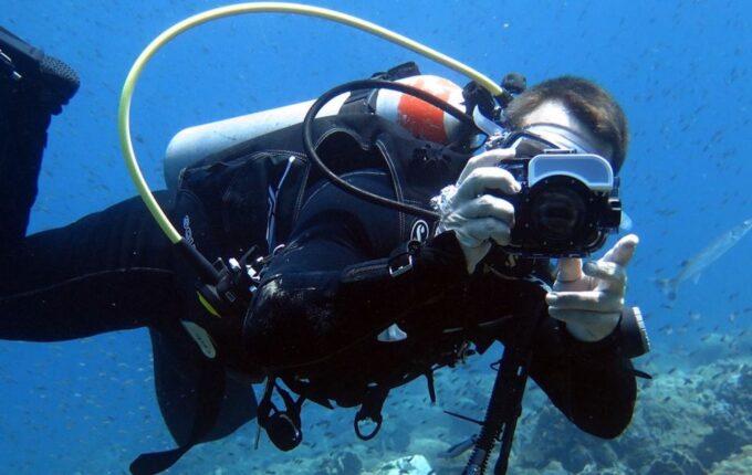 From Koh Kood: Certified Dive Trip - Contact and Booking Information