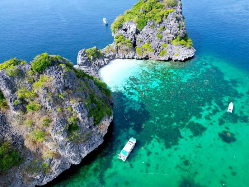 From Koh Lanta: Koh Haa & Koh Rok Snorkel Tour by Speedboat - Key Points
