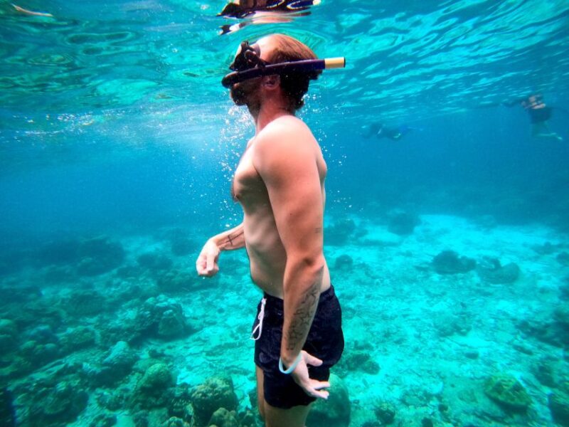 From Koh Lanta: Koh Haa & Koh Rok Snorkel Tour by Speedboat - Highlights and Inclusions