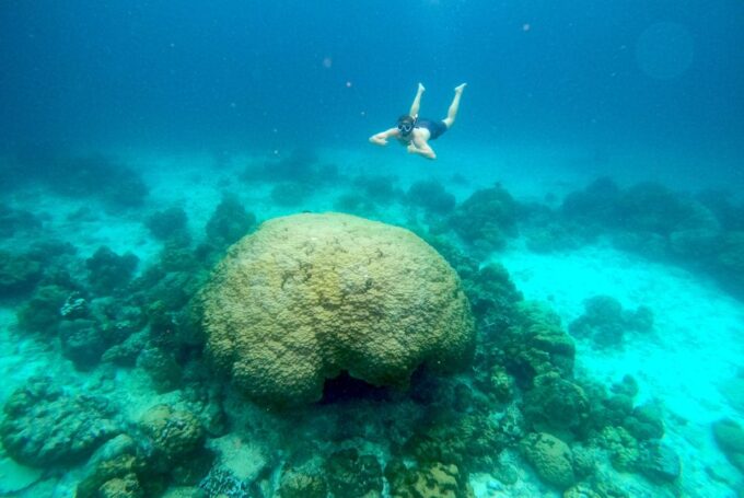 From Koh Lanta: Koh Haa & Koh Rok Snorkel Tour by Speedboat - Customer Ratings and Reviews