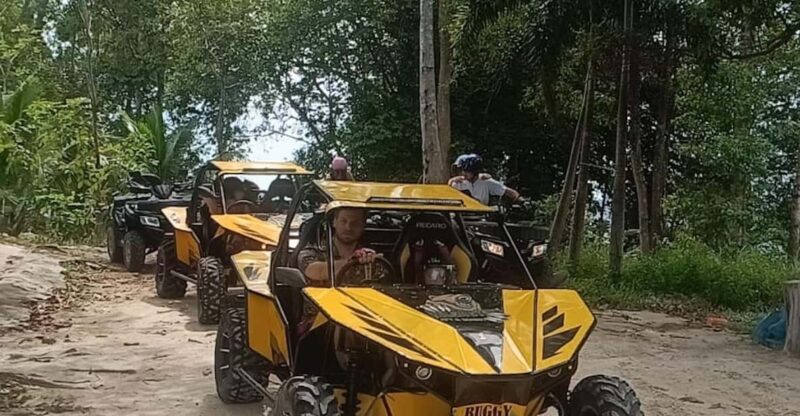 From Koh Samui: 2 Hour BUGGY Adventure - Key Points