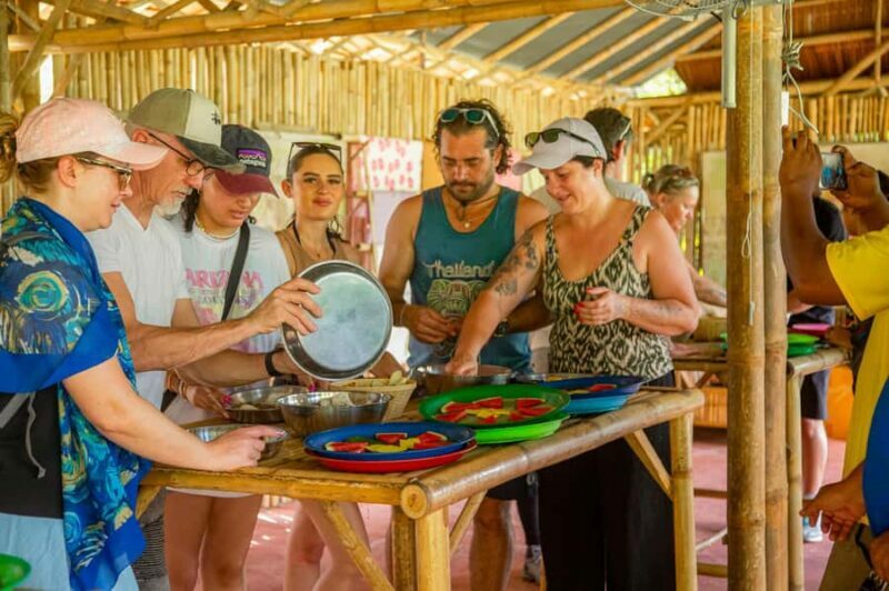 From Koh Samui: Elephant Sanctuary & Jungle Adventure Tour - Key Points