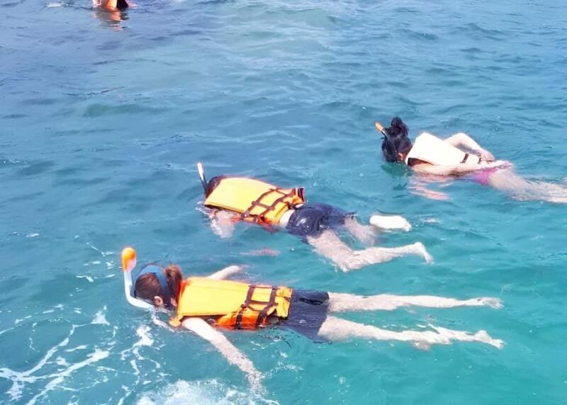 From Koh Samui: Pink Dolphin Boat Tour to Khanom with Lunch - The Journey to Khanom