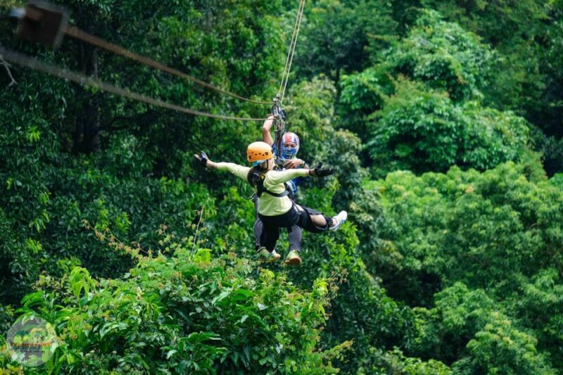 From Koh Samui: Tree Bridge Zipline and Café Experience - Highlights of the Tour