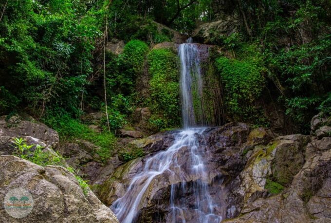From Koh Samui: Tree Bridge Zipline and Café Experience - The Zipline Experience