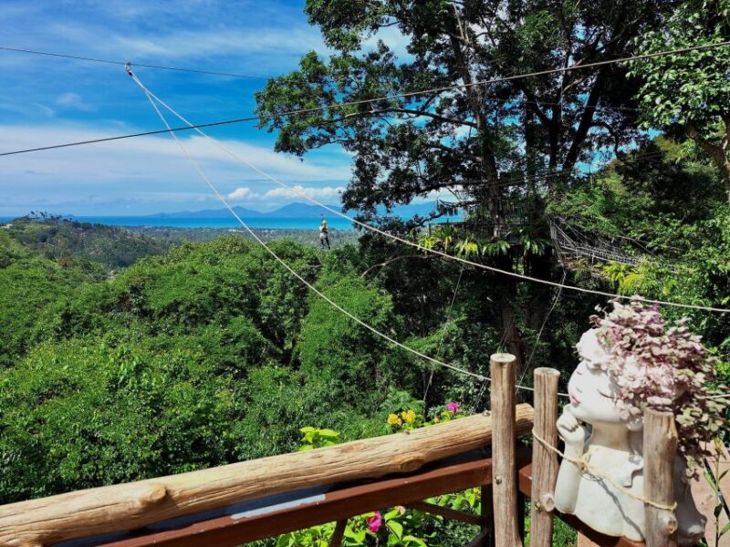 From Koh Samui: Tree Bridge Zipline and Café Experience - Café Relaxation