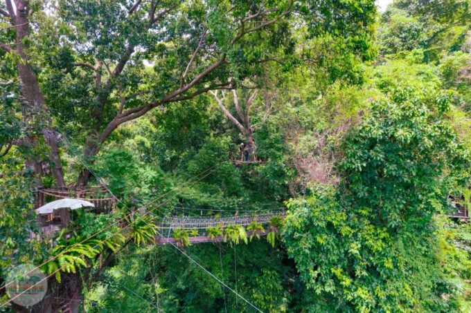 From Koh Samui: Tree Bridge Zipline and Café Experience - Inclusions and Safety