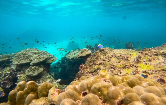 From Koh Tao: Sightseeing Tour With Snorkel by Private Car - Customer Reviews