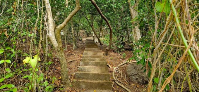 From Koh Tao: Visit to Koh Nang Yuan With Hotel Transfers - Recap