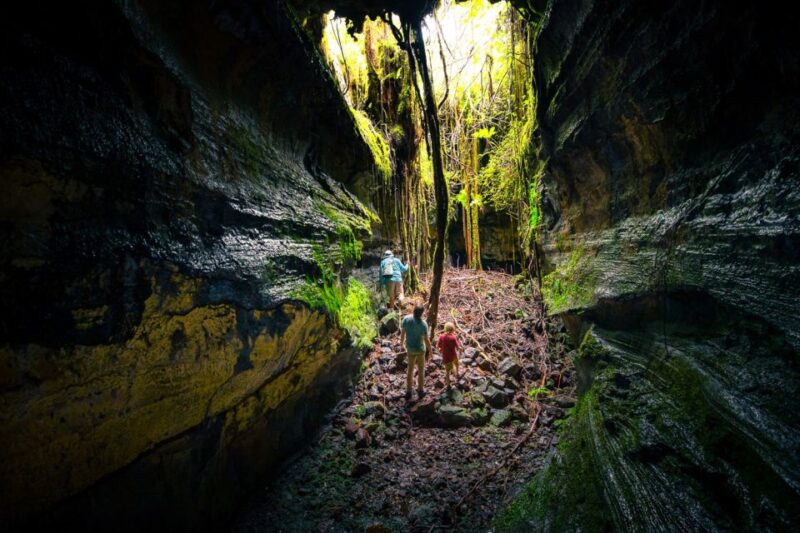 From Kona and Waikoloa: Kilauea Volcano Discovery Tour - Group Size and Pickup Information