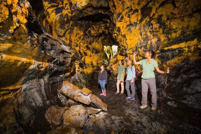 From Kona and Waikoloa: Kilauea Volcano Discovery Tour - Positive Customer Reviews