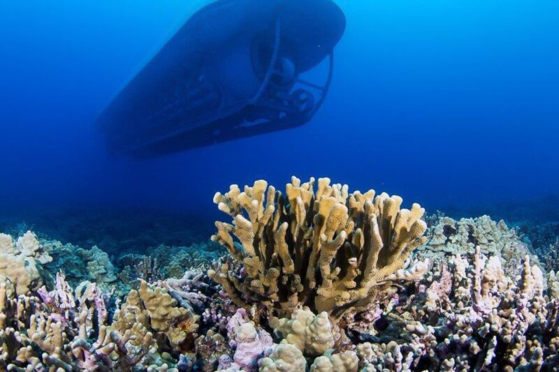 From Kona: Big Island Underwater Submarine Adventure - Pricing and Duration