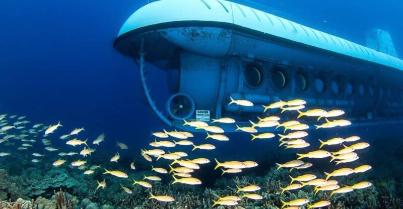 From Kona: Big Island Underwater Submarine Adventure - Live Tour Guide Languages
