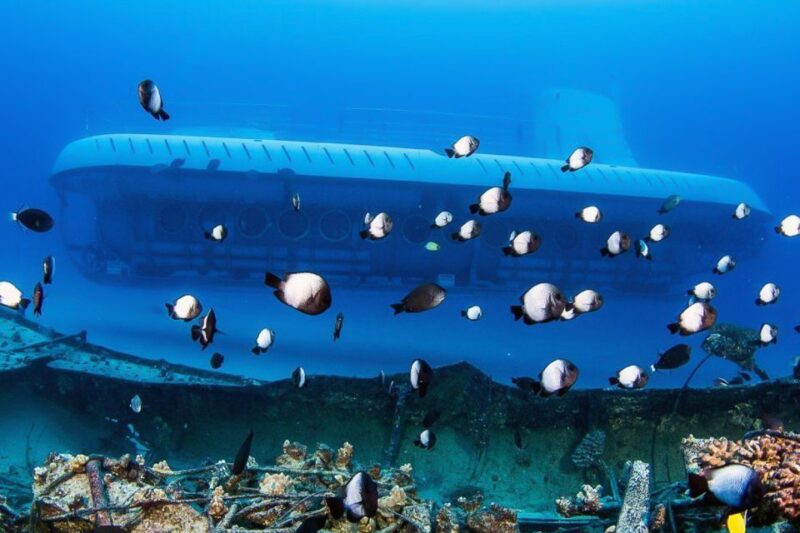 From Kona: Big Island Underwater Submarine Adventure - Underwater Experiences