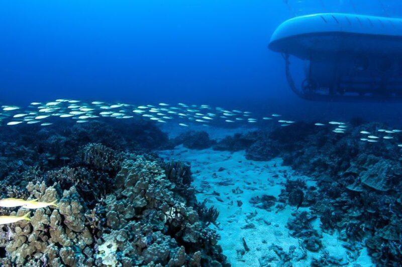 From Kona: Big Island Underwater Submarine Adventure - Customer Ratings and Reviews