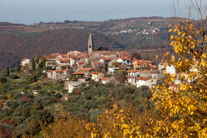 From Koper: Pirans Tastes and Tales - Savoring Local Produce and Wines