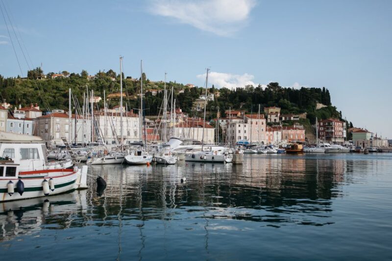 From Koper: Pirans Tastes and Tales - Key Points