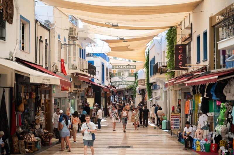 From Kos: a Day Ride to Bodrum With Comfortable Transfer - Included Features and Services
