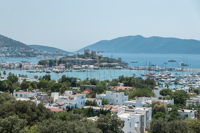 From Kos: Independent Day Trip to Bodrum - Trip Overview