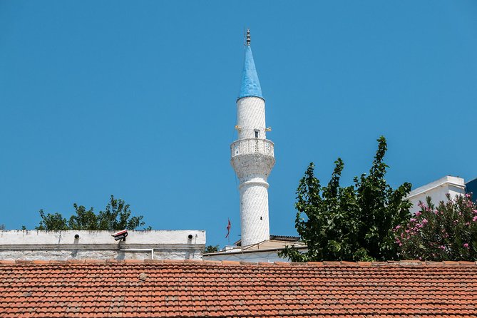 From Kos: Independent Day Trip to Bodrum - Accessibility Details
