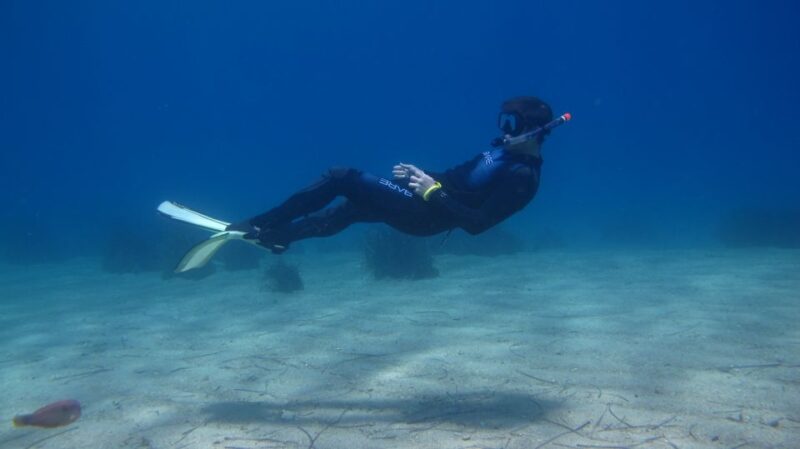 From Kos: Pserimos Island Snorkeling Cruise by Diving Boat - Key Points