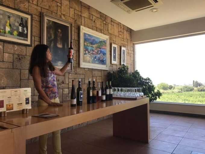 From Kos: Tour of 2 Wineries With Wine Tasting & Small Bites - Experience Highlights