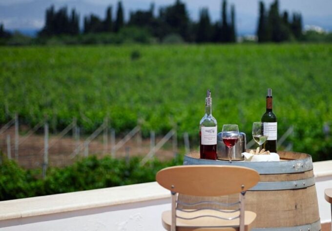 From Kos: Tour of 2 Wineries With Wine Tasting & Small Bites - Customer Reviews and Feedback