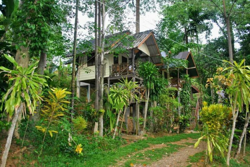 From Krabi: 2-Day Khao Sok Jungle Safari with Overnight Stay - FAQ