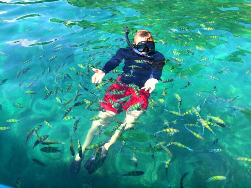 From Krabi: 4 Islands Snorkeling Tour by Speed Boat - Tour Stops