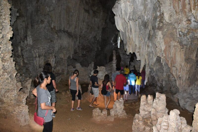 From Krabi: Cheow Lan Lake Cruise and Khao Sok Jungle Hike - Highlights of the Trip