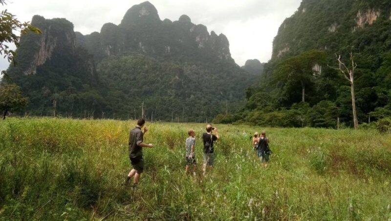 From Krabi: Khao Sok Cheow Lan Lake Day Trip - Important Considerations
