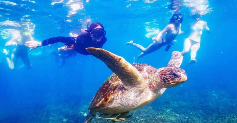 From Krabi: Surin Islands Snorkeling Tour W/ Meals - Pickup and Transfer