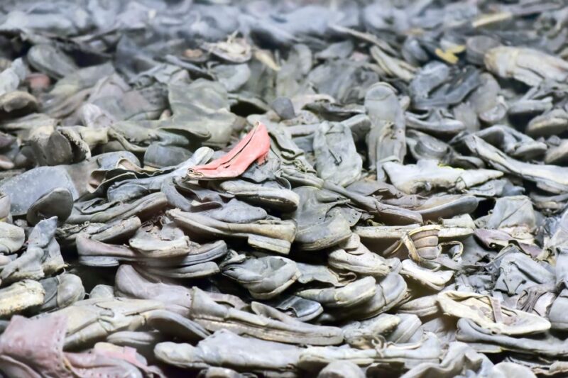 From Krakow: Auschwitz and Wieliczka Salt Mine Full-Day Trip - Entrance Tickets and Line-skipping