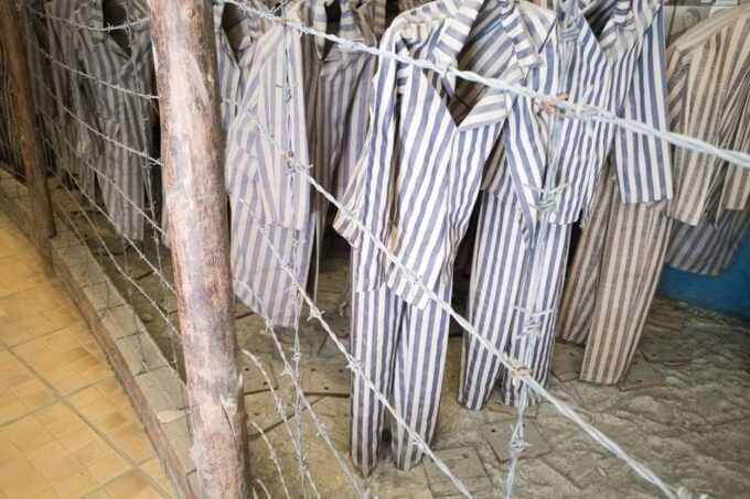 From Krakow: Auschwitz and Wieliczka Salt Mine Full-Day Trip - Guided Tour Experience