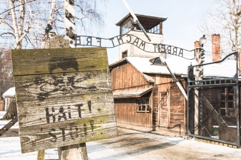 From Krakow: Auschwitz and Wieliczka Salt Mine Full-Day Trip - Pricing and Inclusions