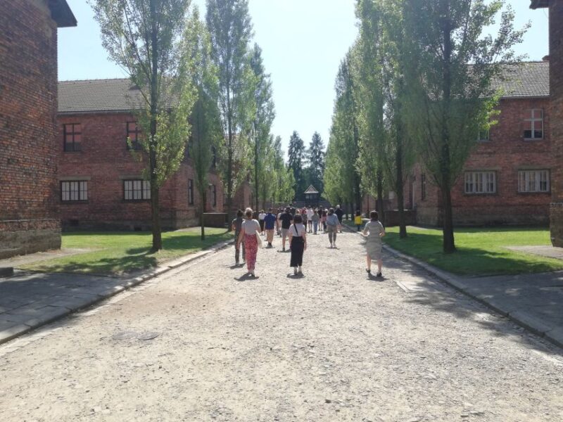From Krakow: Auschwitz-Birkenau and Self-Guided Day Tour - Inclusions and Assistance