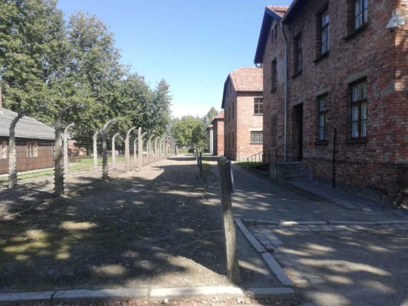From Krakow: Auschwitz-Birkenau and Self-Guided Day Tour - Duration and Cancellation Policy