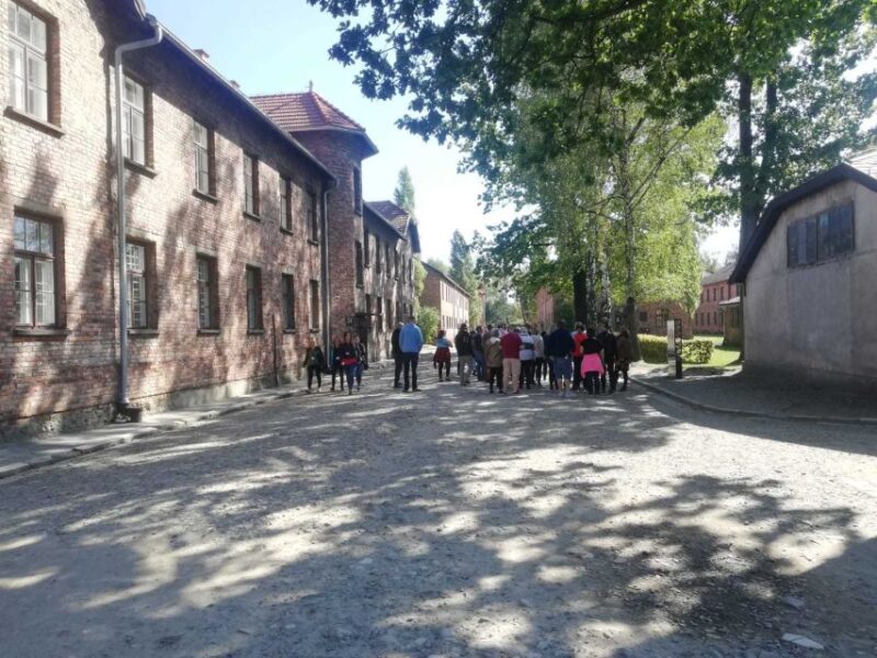 From Krakow: Auschwitz-Birkenau and Self-Guided Day Tour - Customer Reviews and Ratings