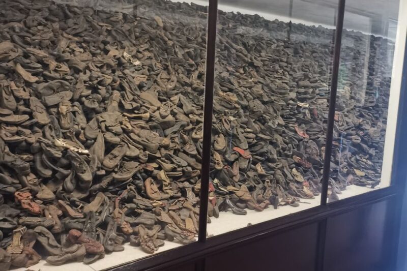 From Krakow: Auschwitz-Birkenau Camp Complex Guided Day Trip - Key Points