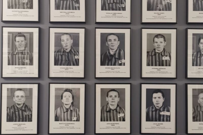 From Krakow: Auschwitz-Birkenau Camp Complex Guided Day Trip - Tour Highlights