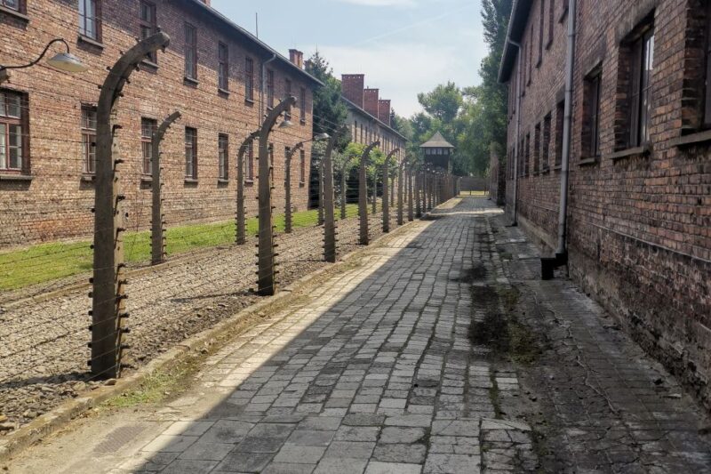 From Krakow: Auschwitz-Birkenau Camp Complex Guided Day Trip - Itinerary and Schedule
