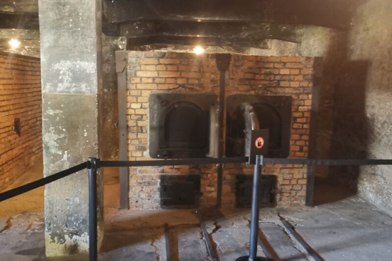 From Krakow: Auschwitz-Birkenau Camp Complex Guided Day Trip - What to Expect