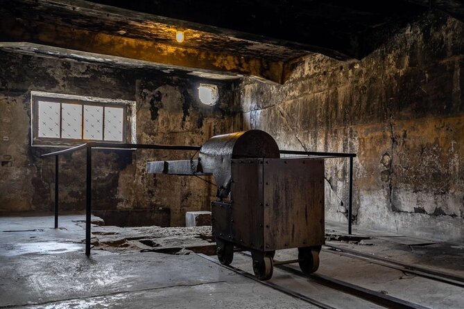 From Krakow: Auschwitz-Birkenau Full-Day Tour - Tour Participation and Accessibility